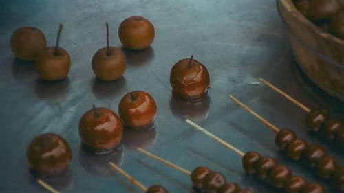 兒子的大玩偶 Bild 3