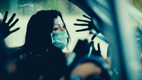 Killerameisen Bild 4