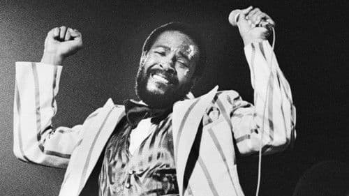 Marvin Gaye - Greatest Hits Live in '76 Bild 4
