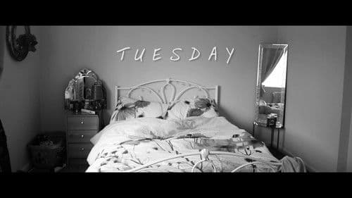 Lola's Rainbow Bild 3