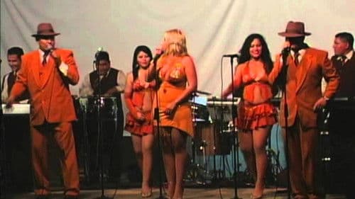 Orquesta de Any Velásquez - Cumbias Pa' Gozar Bild 1