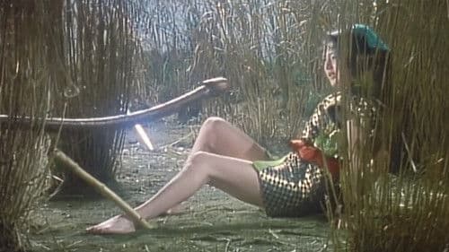 くノ一忍法帖VI 忍者月影抄 Bild 3