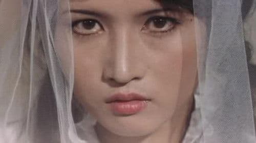 真夜中の妖精 Bild 1