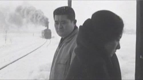 六條ゆきやま紬 Bild 1