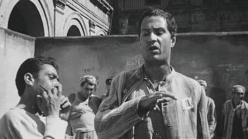 Vergewaltigt in Ketten Bild 4