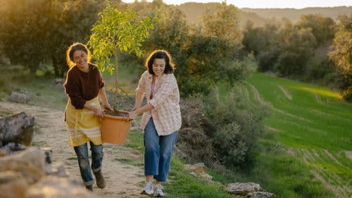 Los destellos Bild 4