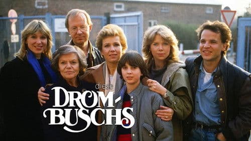 Diese Drombuschs Bild 4