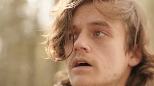 Stumbling Home Bild 4