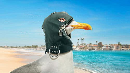 The Guest Book Bild 7