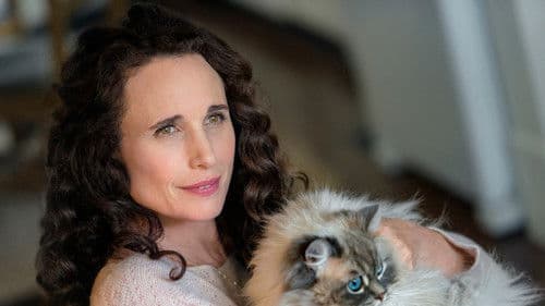 At Home in Mitford Bild 5