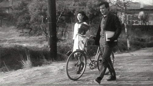 젊은 느티나무 Bild 5