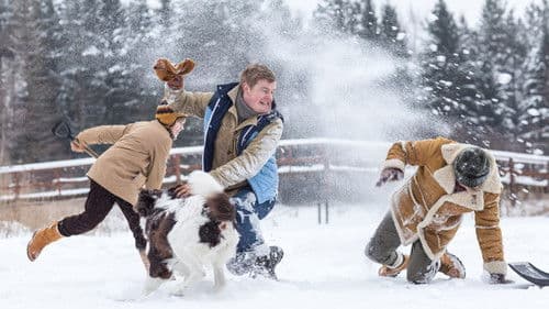 Weihnachten im Zaubereulenwald Bild 3