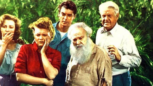 Miraculous Journey Bild 1