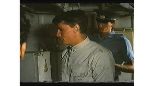 Афганец 2 Bild 3