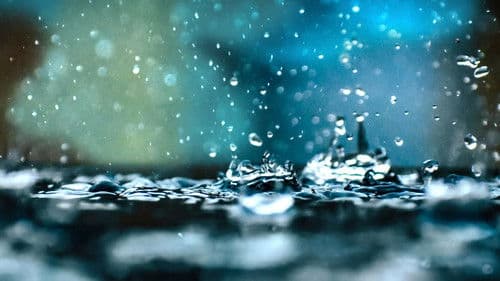 Rain: The Untold Story Bild 2