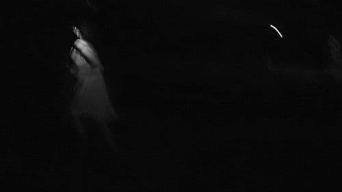 Moonlight Valley Bild 1