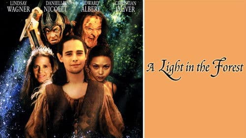 A Light in the Forest Bild 6