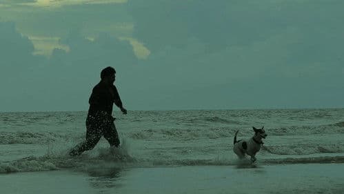 রাত জাগা ফুল Bild 1