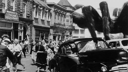 Die Rache der schwarzen Spinne Bild 2