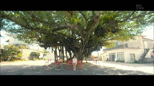 がじまる食堂の恋 Bild 2