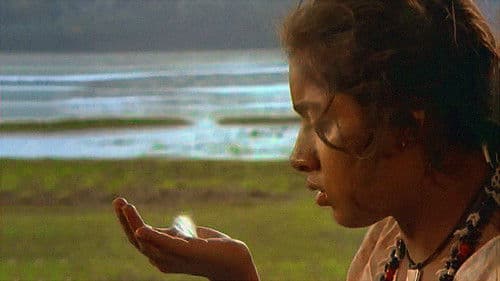 കാക്കോത്തിക്കാവിലെ അപ്പൂപ്പൻ താടികൾ Bild 1