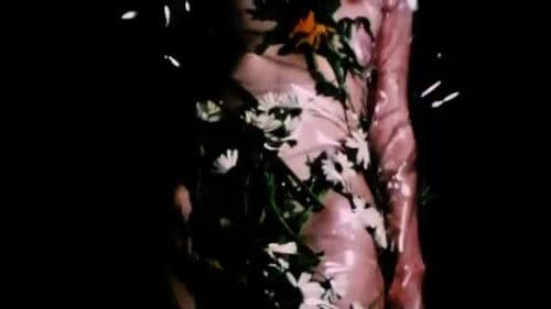 Double Labyrinthe Bild 3