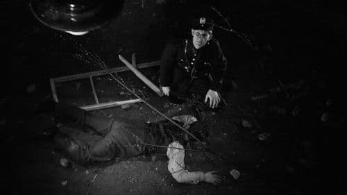 Houkutuslintu Bild 4