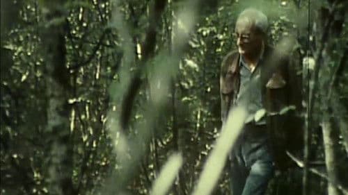 Le siècle de Lévi-Strauss Bild 1