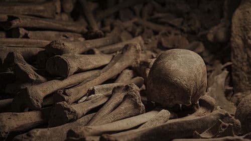 Légendes de France Bild 2