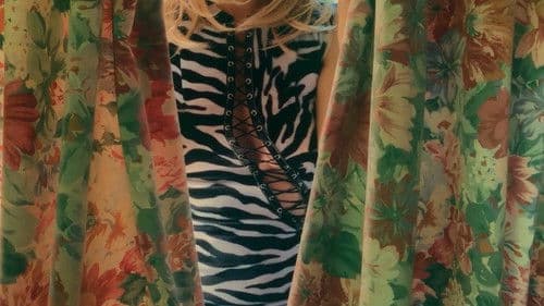 Give Us a Meow Bild 3