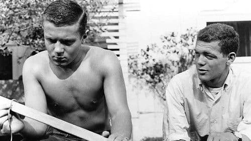 Das nackte Gesicht Bild 3