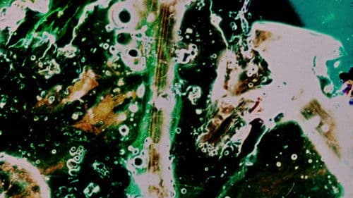 Delicacies of Molten Horror Synapse Bild 1