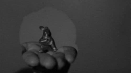 Three or Four Things I Know About Vishnu, The Preserver Bild 1