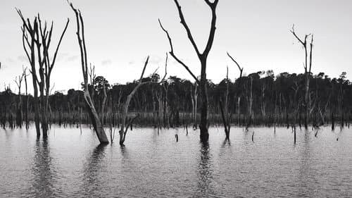 O Reflexo do Lago Bild 2