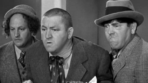 Three Smart Saps Bild 2