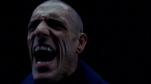 They Send Word Bild 1