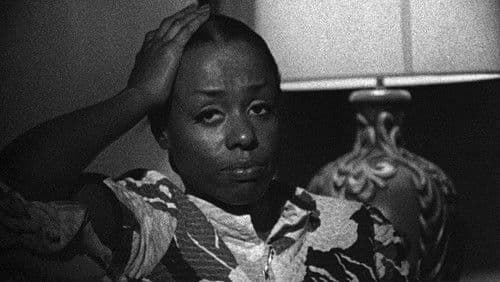 Schafe töten Bild 6