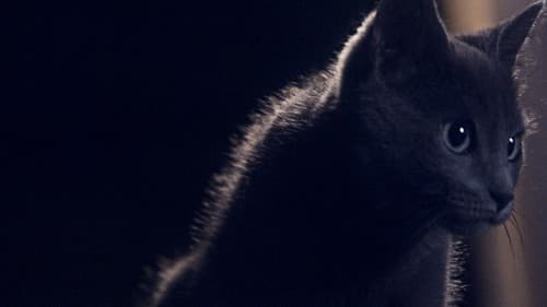 Somos animales Bild 1