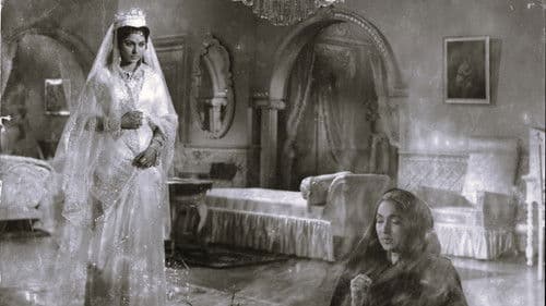 कोहरा Bild 1