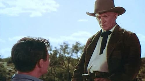 Zweikampf bei Sonnenuntergang Bild 1