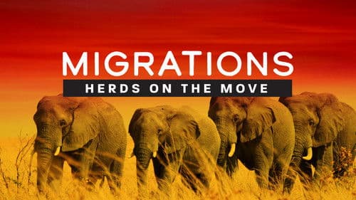 Migrations: Herds on the Move Bild 1
