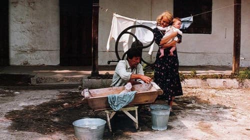 Sortűz egy fekete bivalyért Bild 1