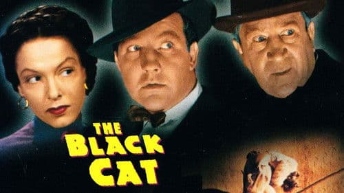 The Black Cat Bild 5