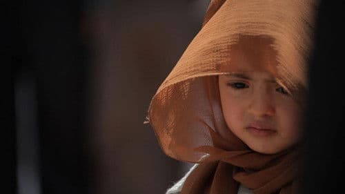 فيلم ليس للكرامة جدران Bild 1