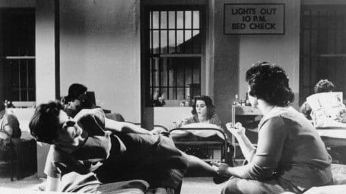 Why Must I Die Bild 1