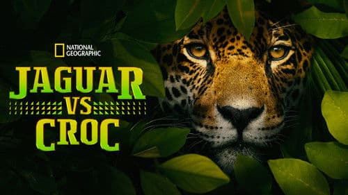 Jaguar vs. Krokodil Bild 7