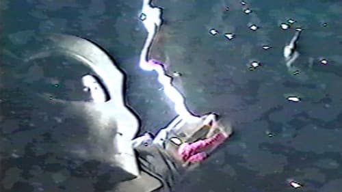 Suroh: Alien Hitchhiker Bild 5