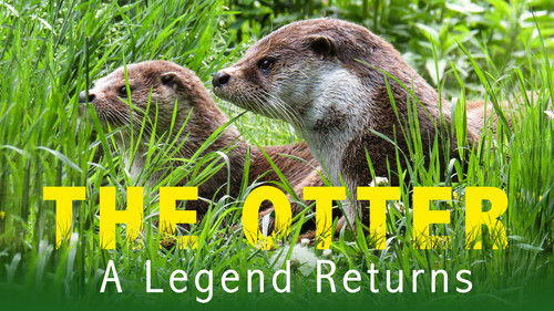 The Otter: A Legend Returns Bild 1
