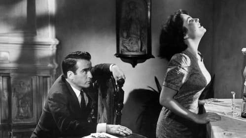 Plötzlich im letzten Sommer Bild 4