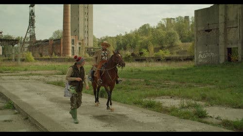 @Tiktok_Cowboy Bild 1